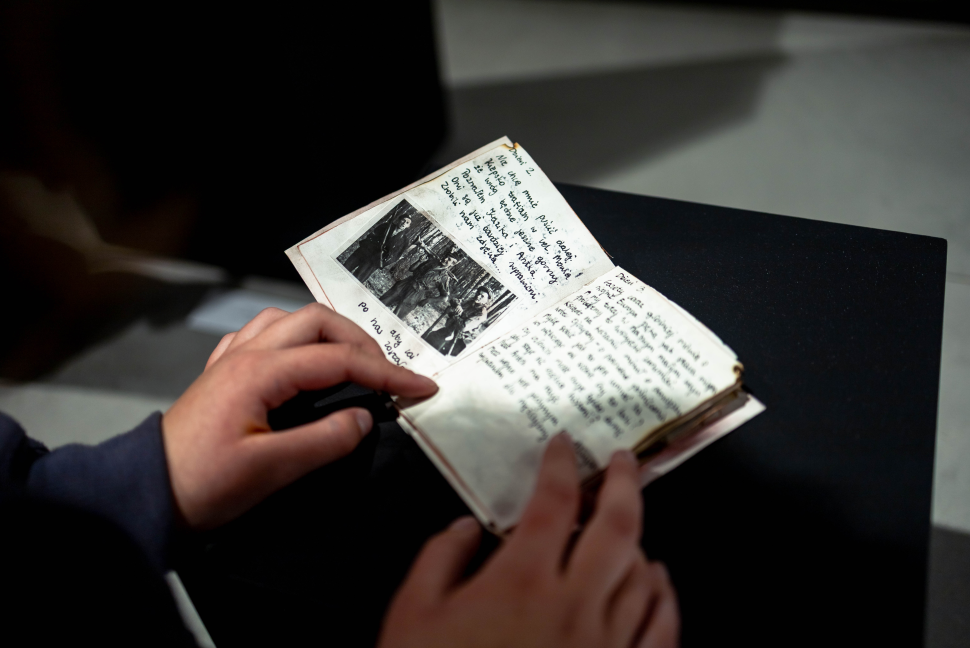 Program edukacyjny do wystawy "poczucie w*ojny" Justyny Łuczaj Salej